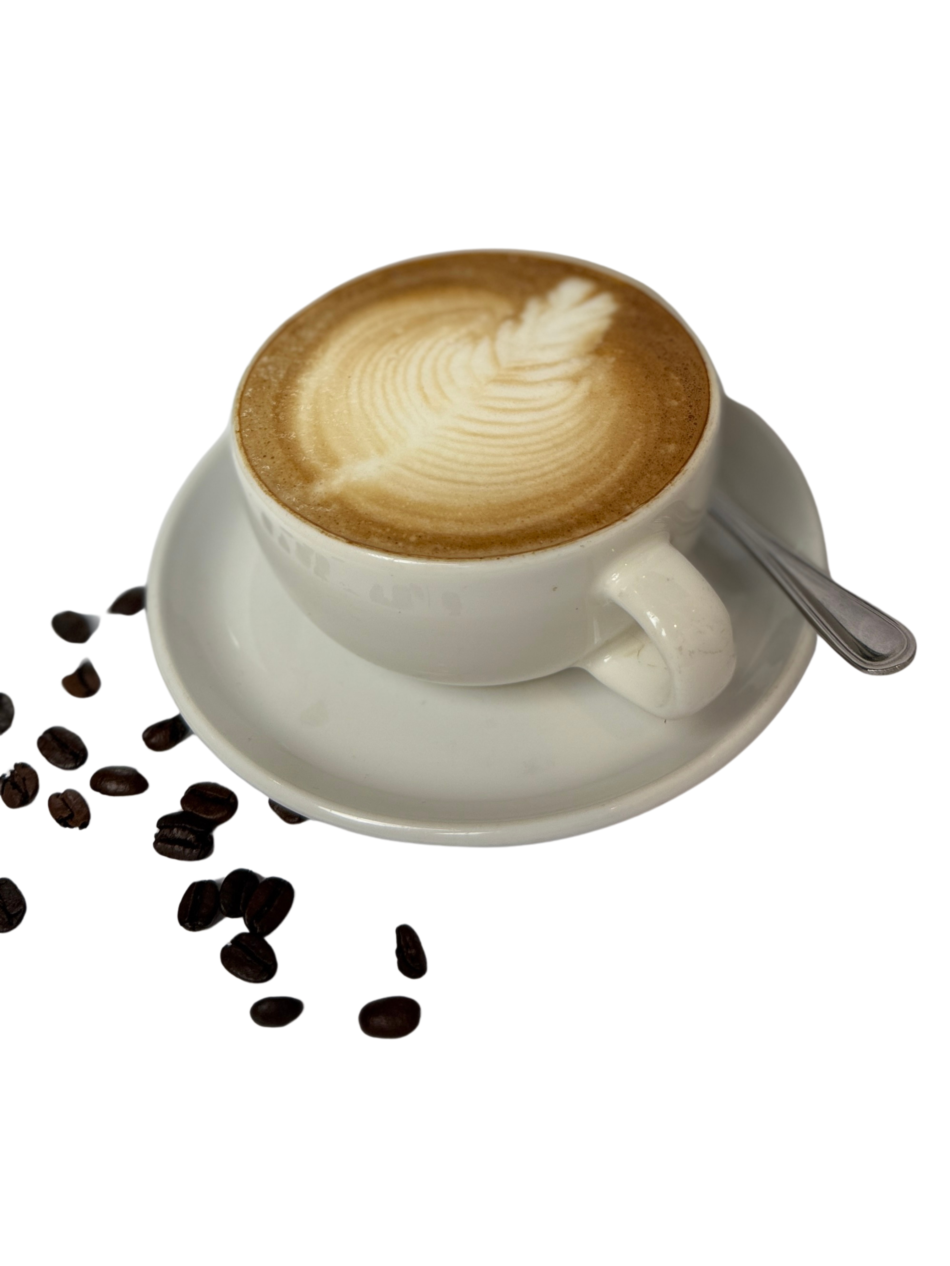 Cappucino